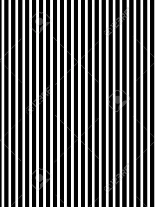 Black and White Vertical strip Wallpaper