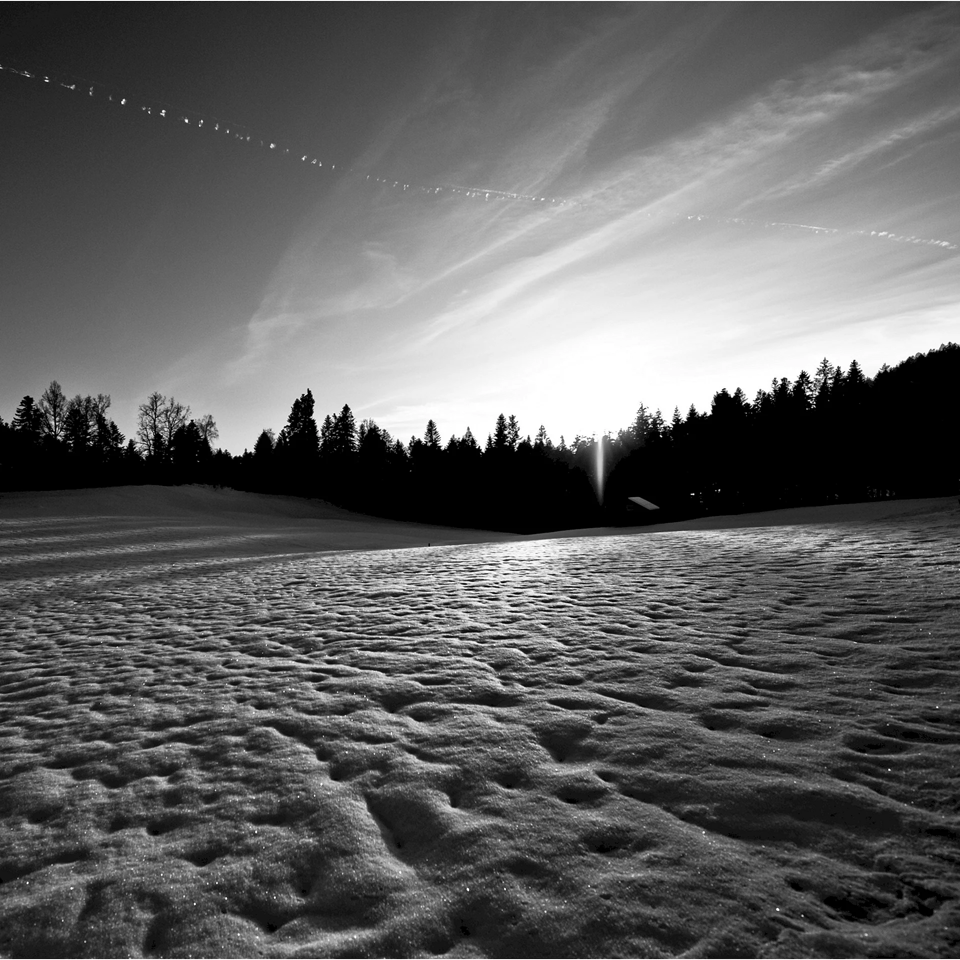Black and White Winter Landscapes Wallpaper