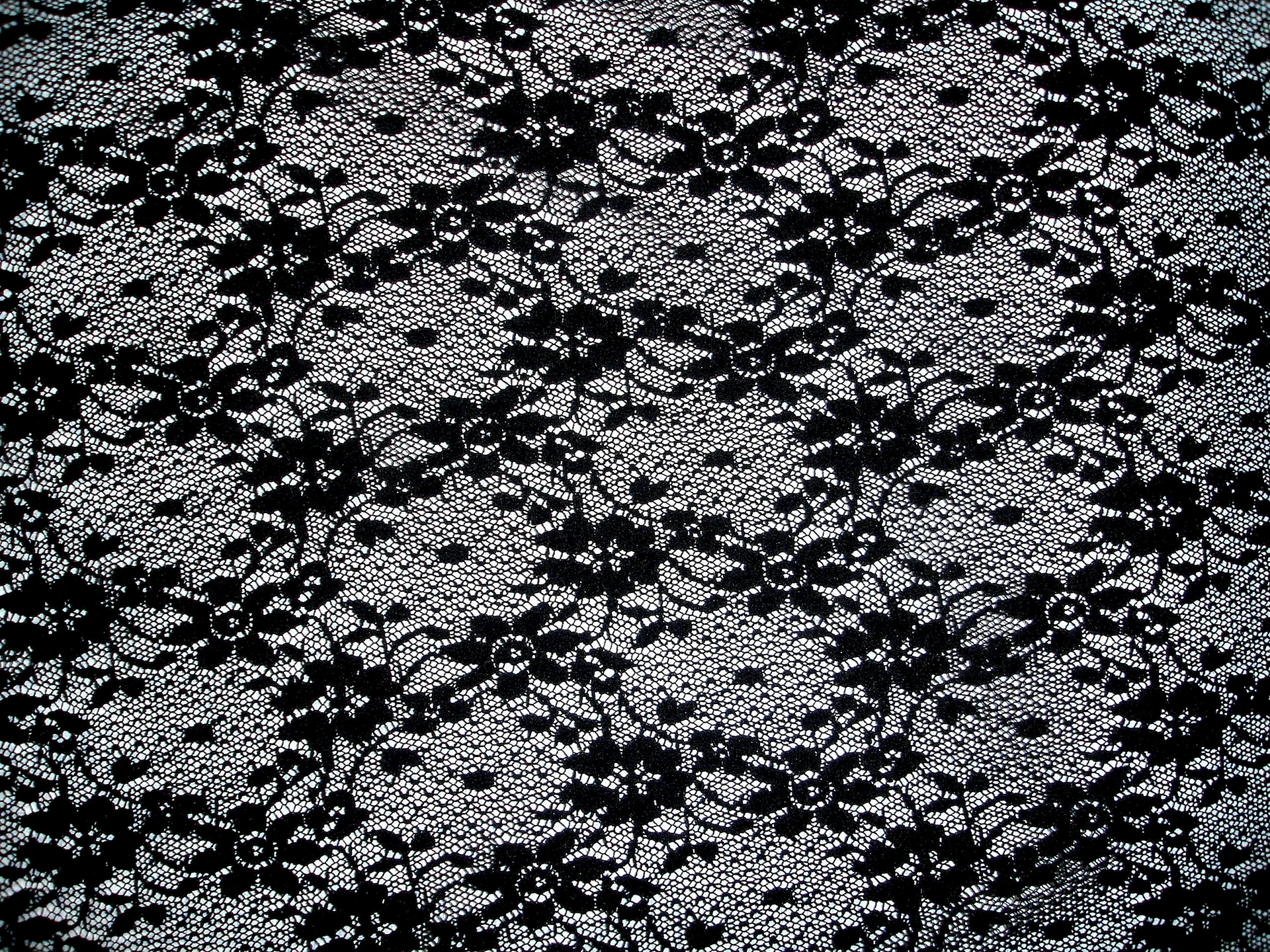 Black Lace Wallpaper