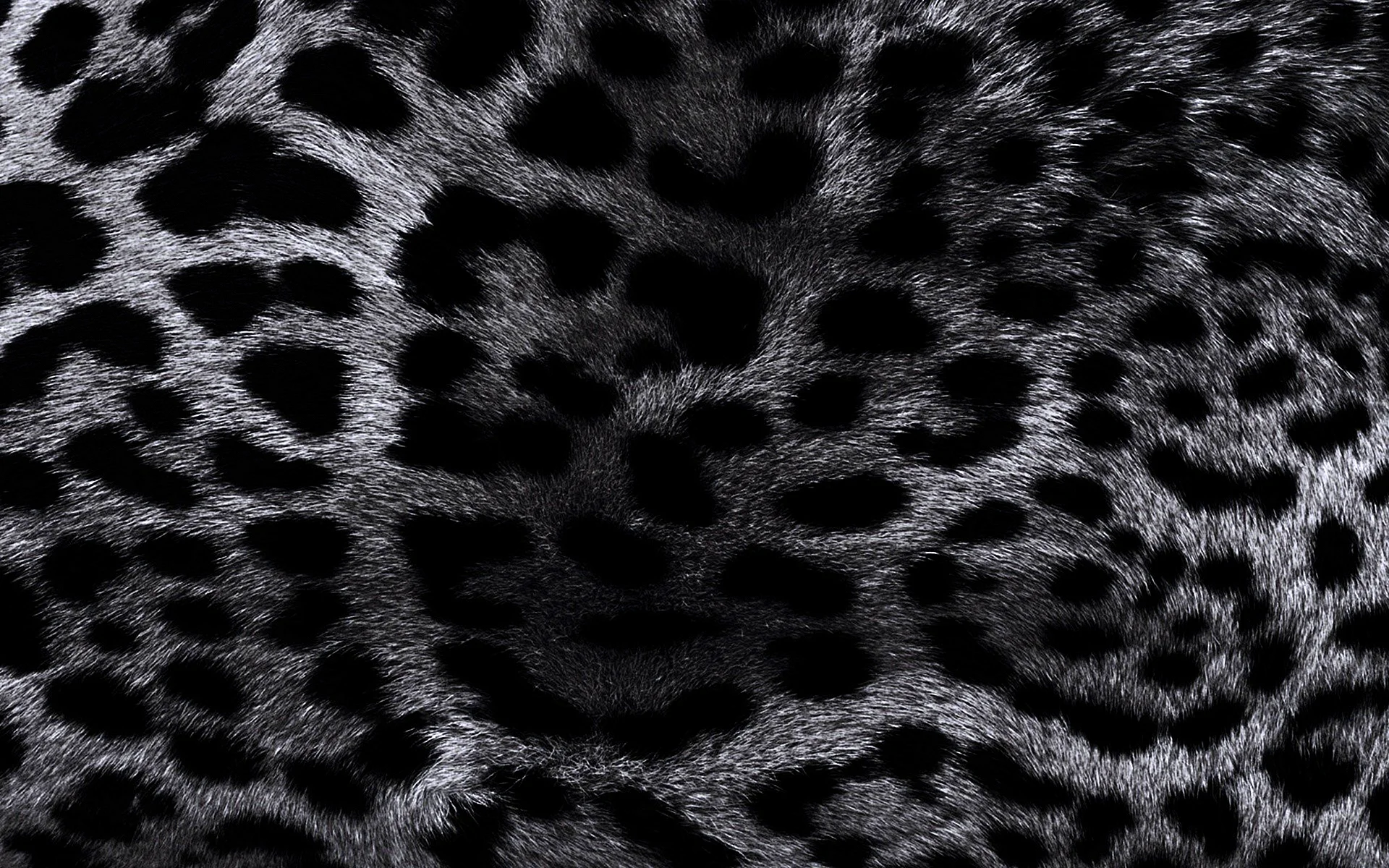 Black Leopard pattern Wallpaper