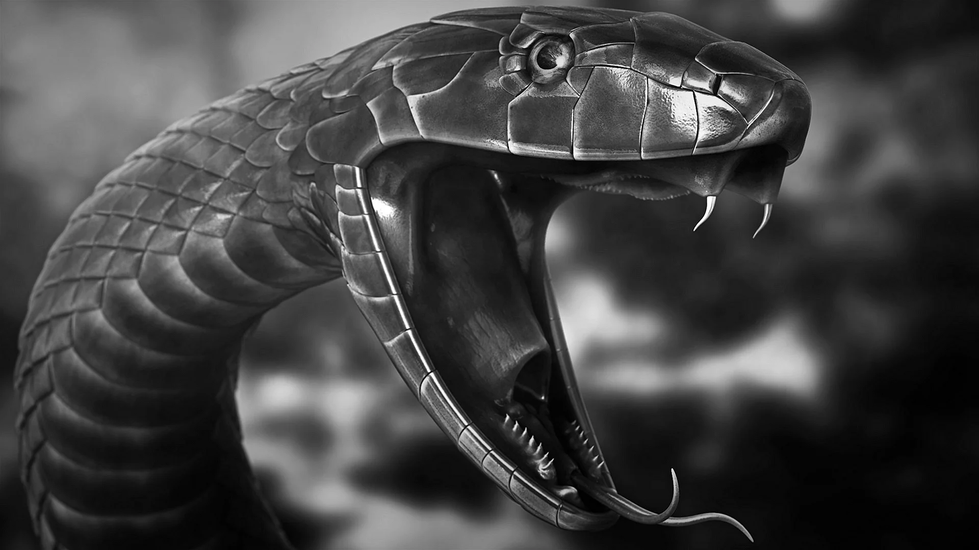 Black Mamba Wallpaper