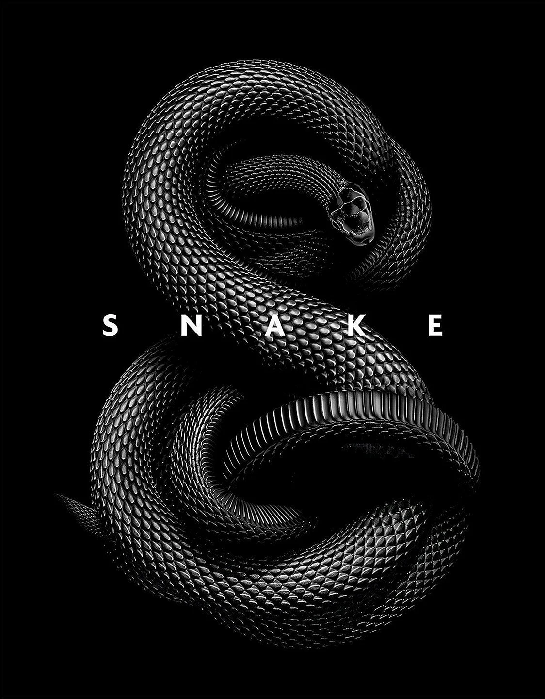 Black Mamba Snake Wallpaper For iPhone