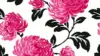 Black Pink pattern Wallpaper