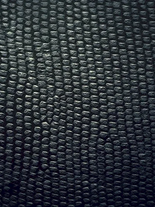 Black Snake Skin Pattern Wallpaper