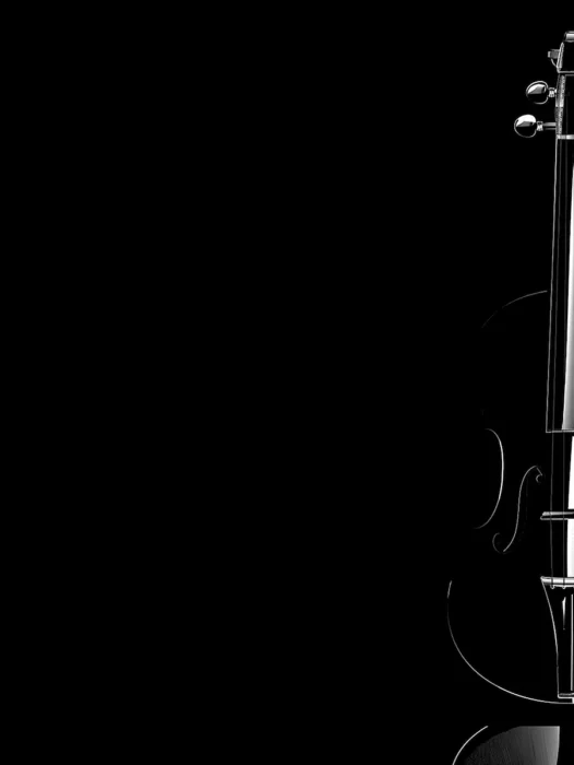Black Violin Band Wallpaper