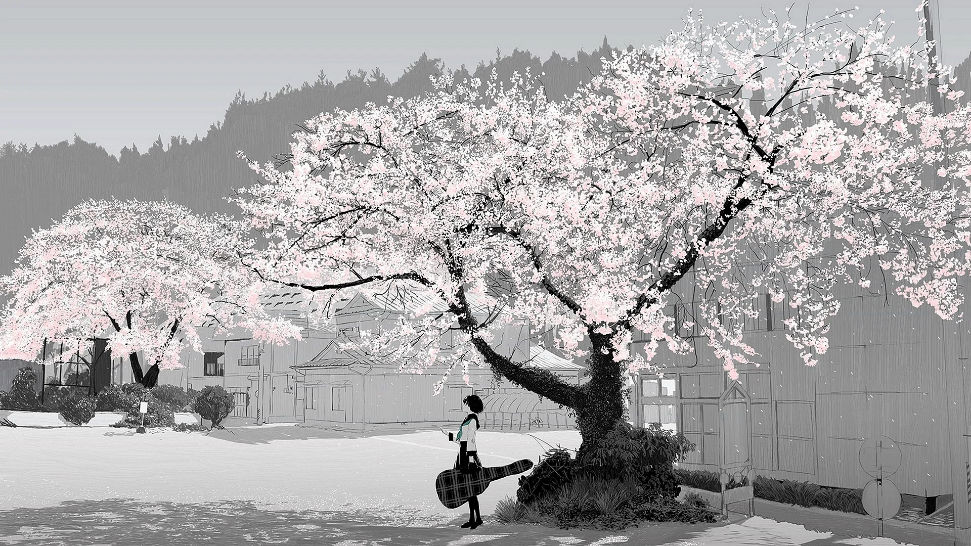 Black And White Cherry Blossom Wallpaper