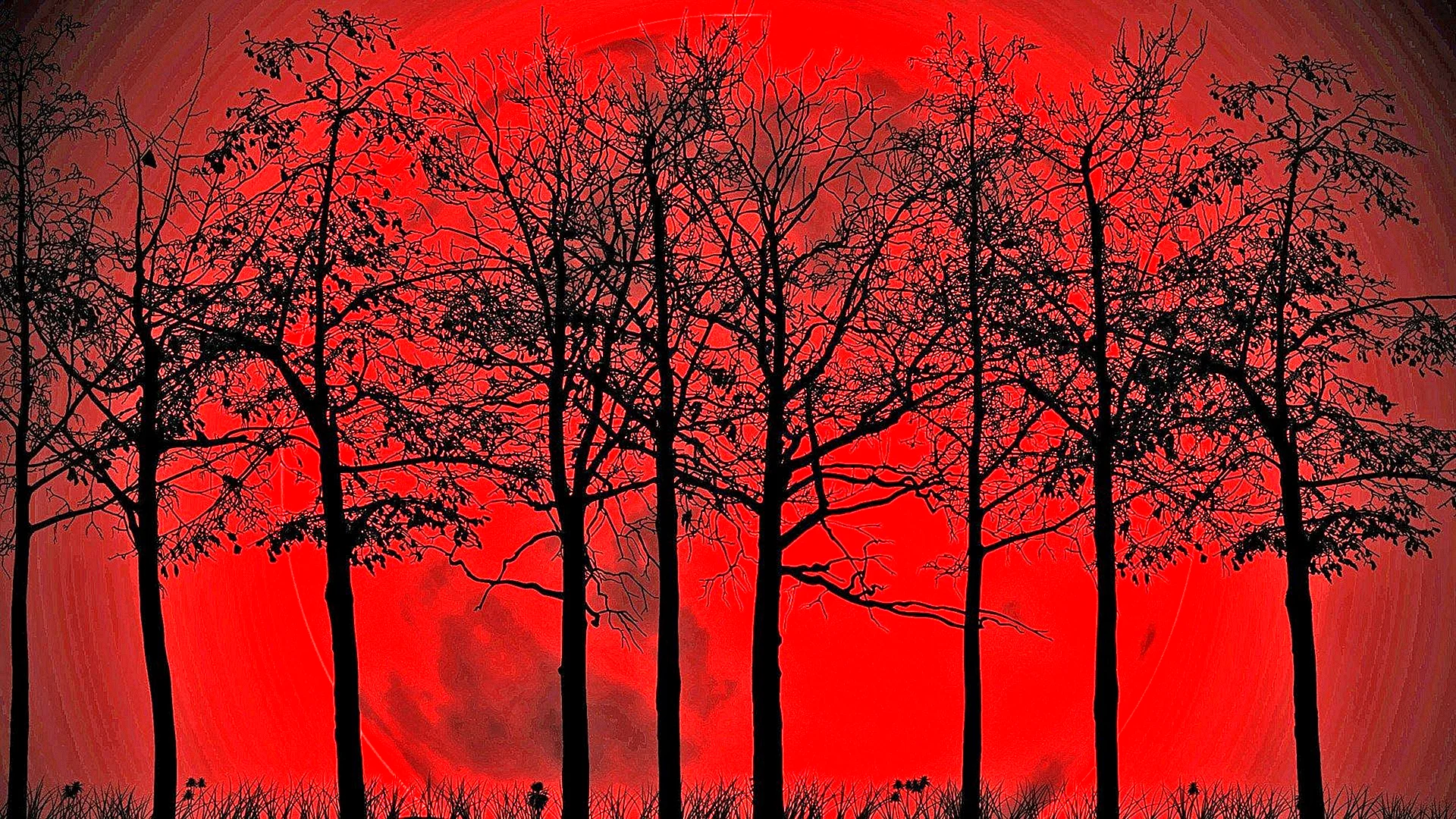 Blood Moon Wallpaper