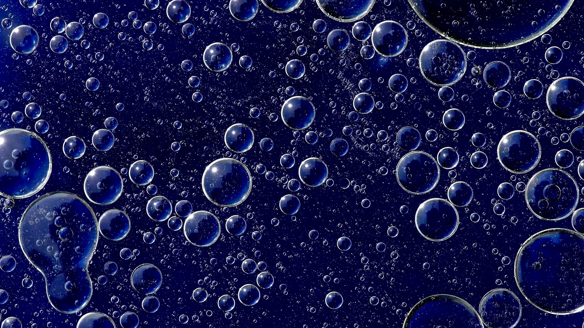 Blue Bubble Wallpaper