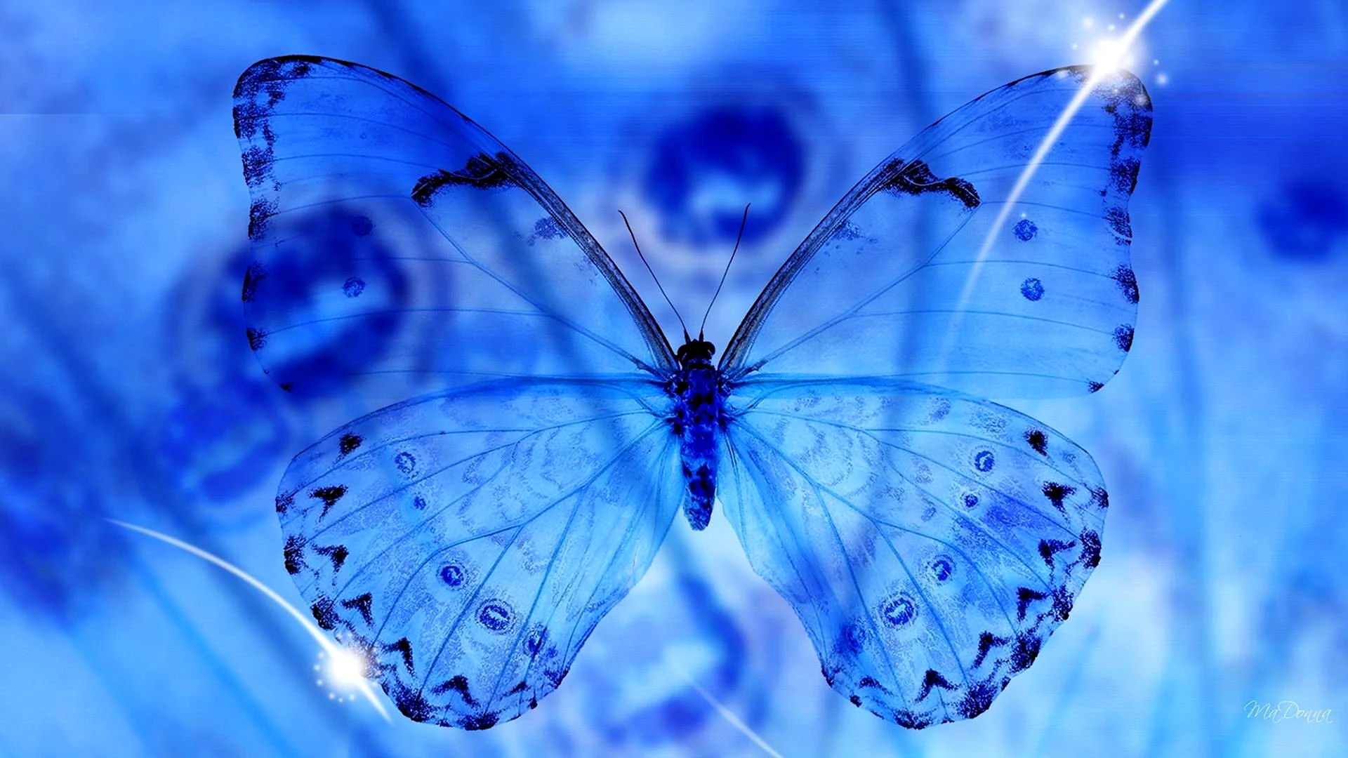 Blue Butterfly Wallpaper