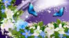 Blue Butterfly Flower Wallpaper