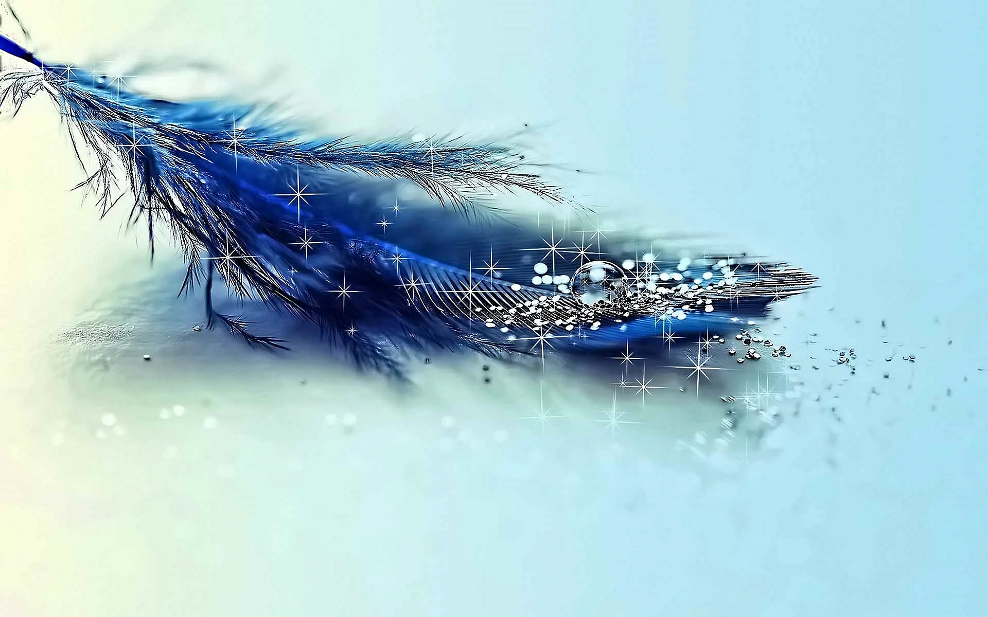 Blue Feather Wallpaper