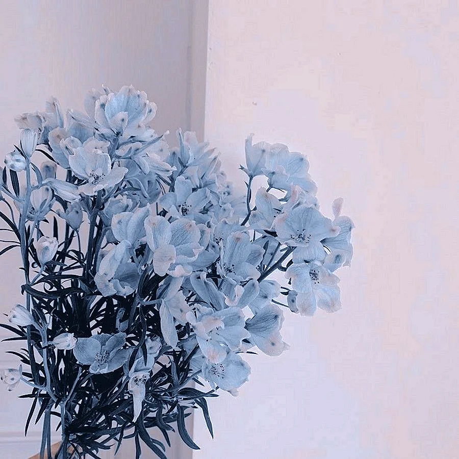 Blue Flower Pot Decor Soft Aesthetic Wallpaper