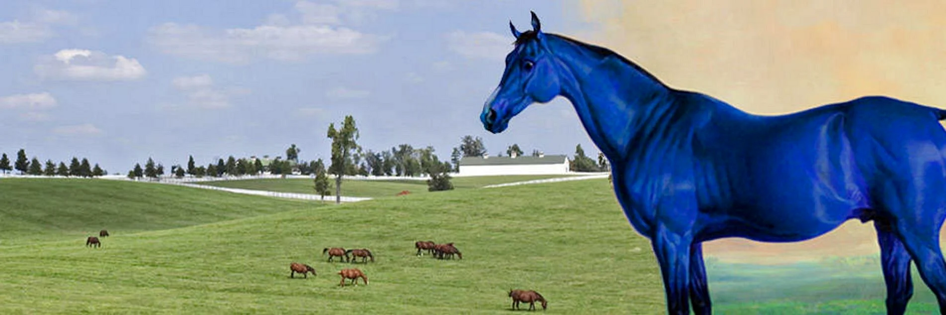 Blue Horse Wallpaper