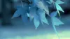 Blue Leaves Wallpaper