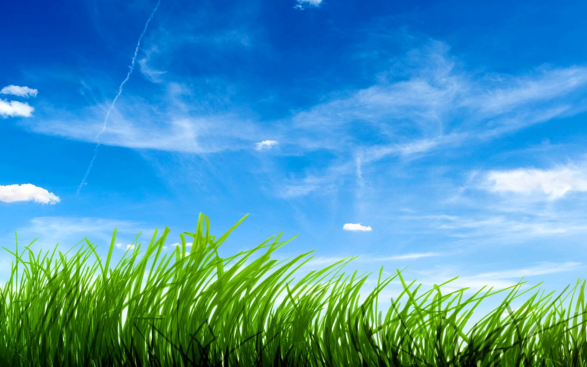 Blue Sky And Green Grass Wallpaper