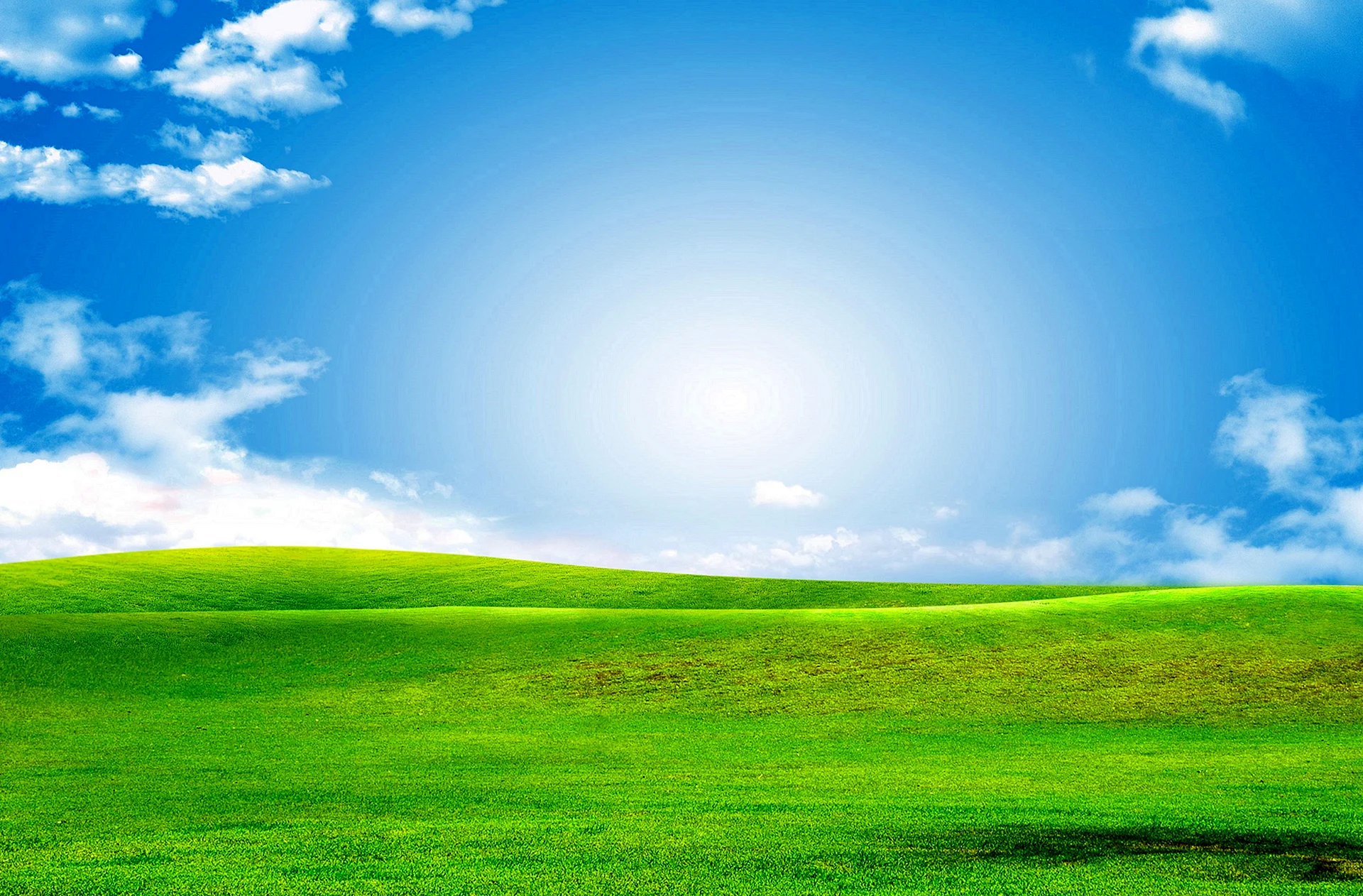 Blue Sky And Green Grass Wallpaper