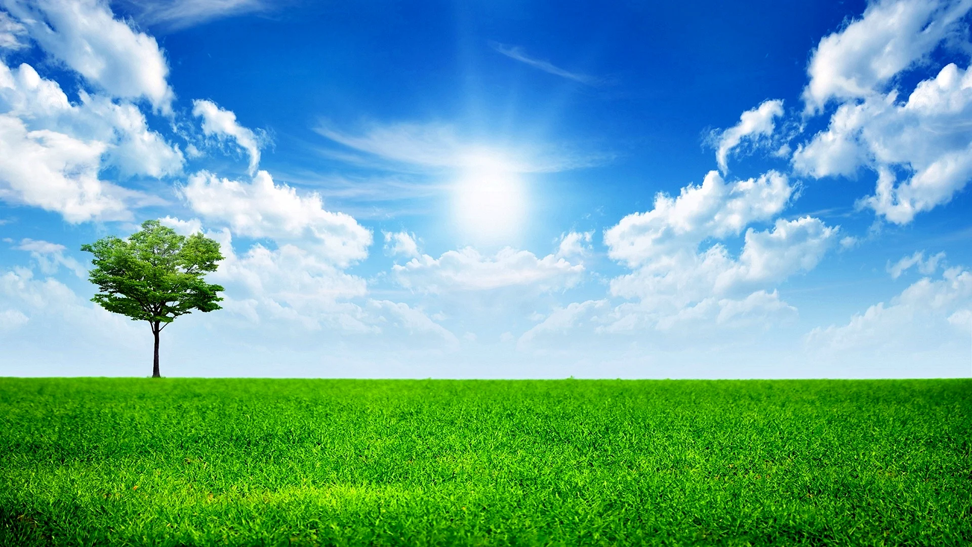 Blue Sky And Green Grass Wallpaper