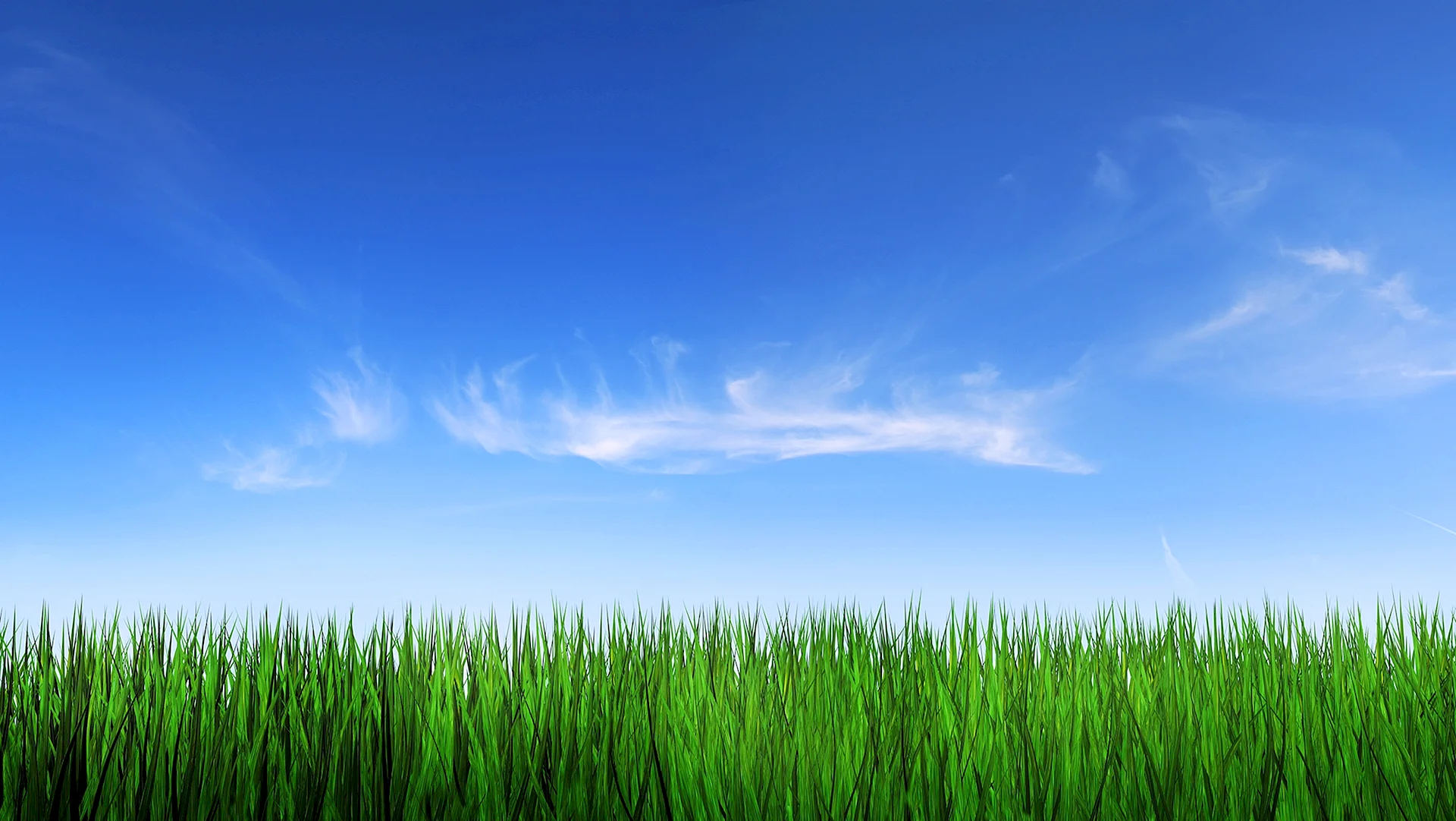 Blue Sky And Green Grass Wallpaper