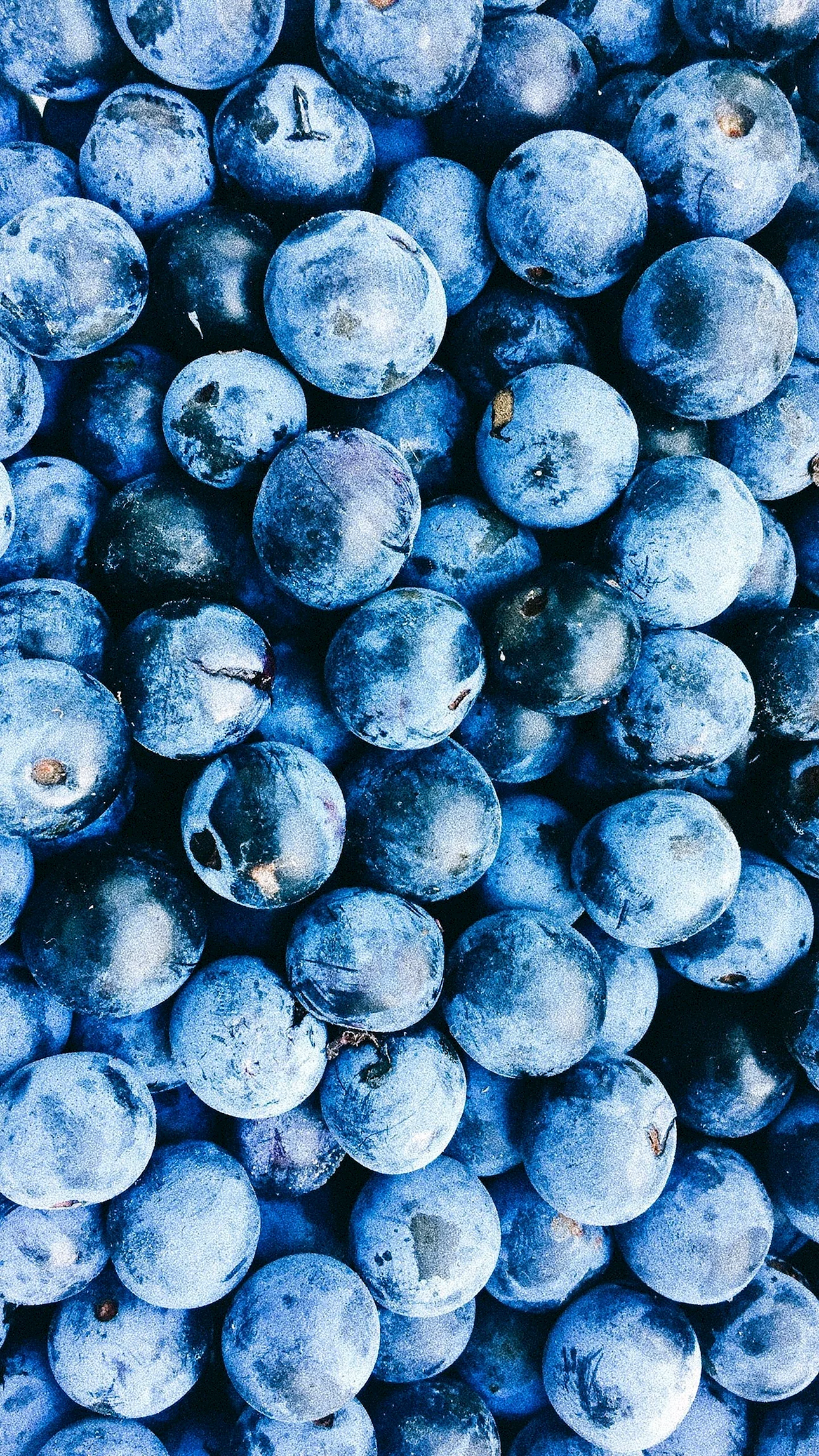 Blueberry Wallpaper For iPhone