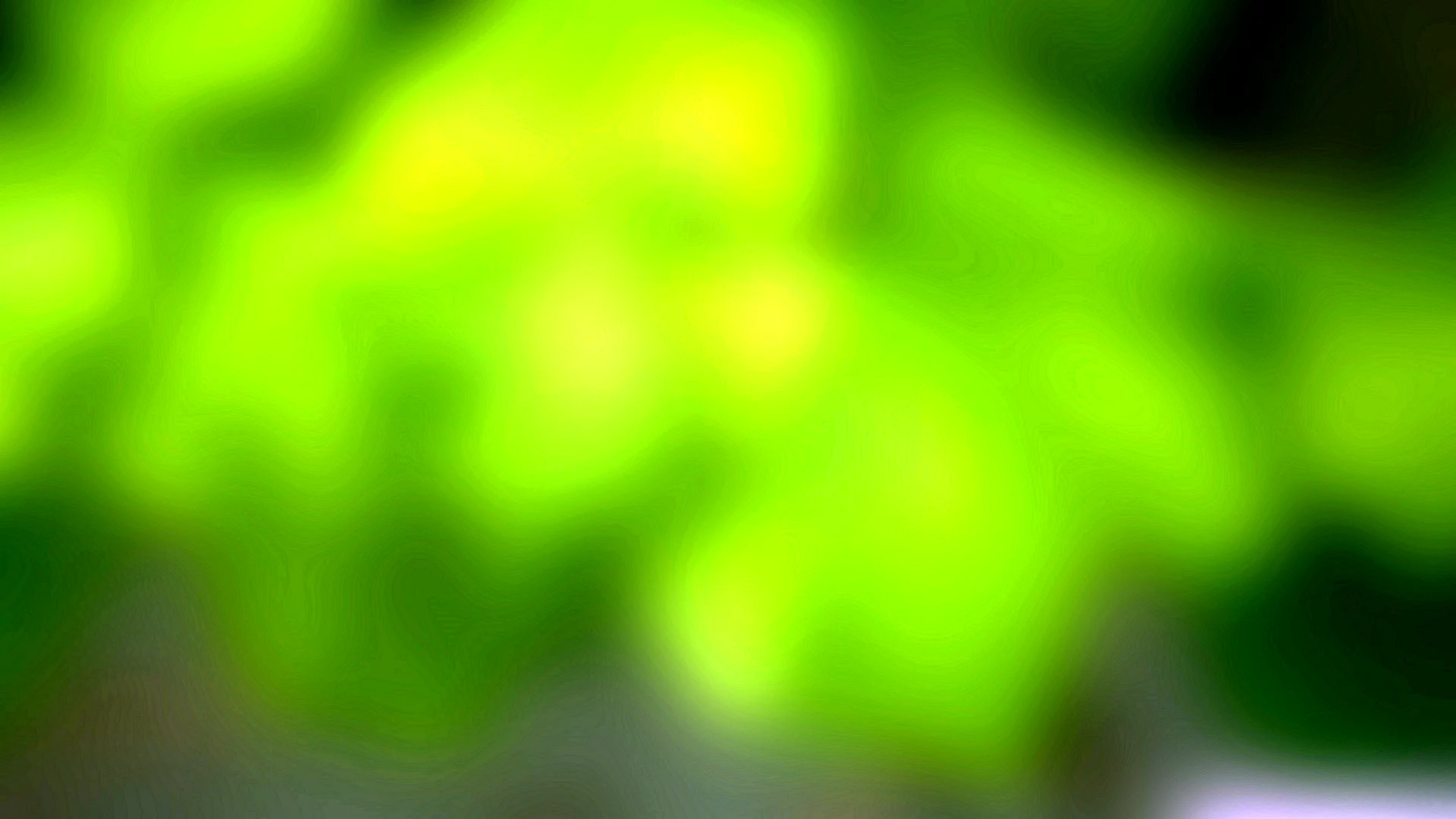 Blurry Green Wallpaper