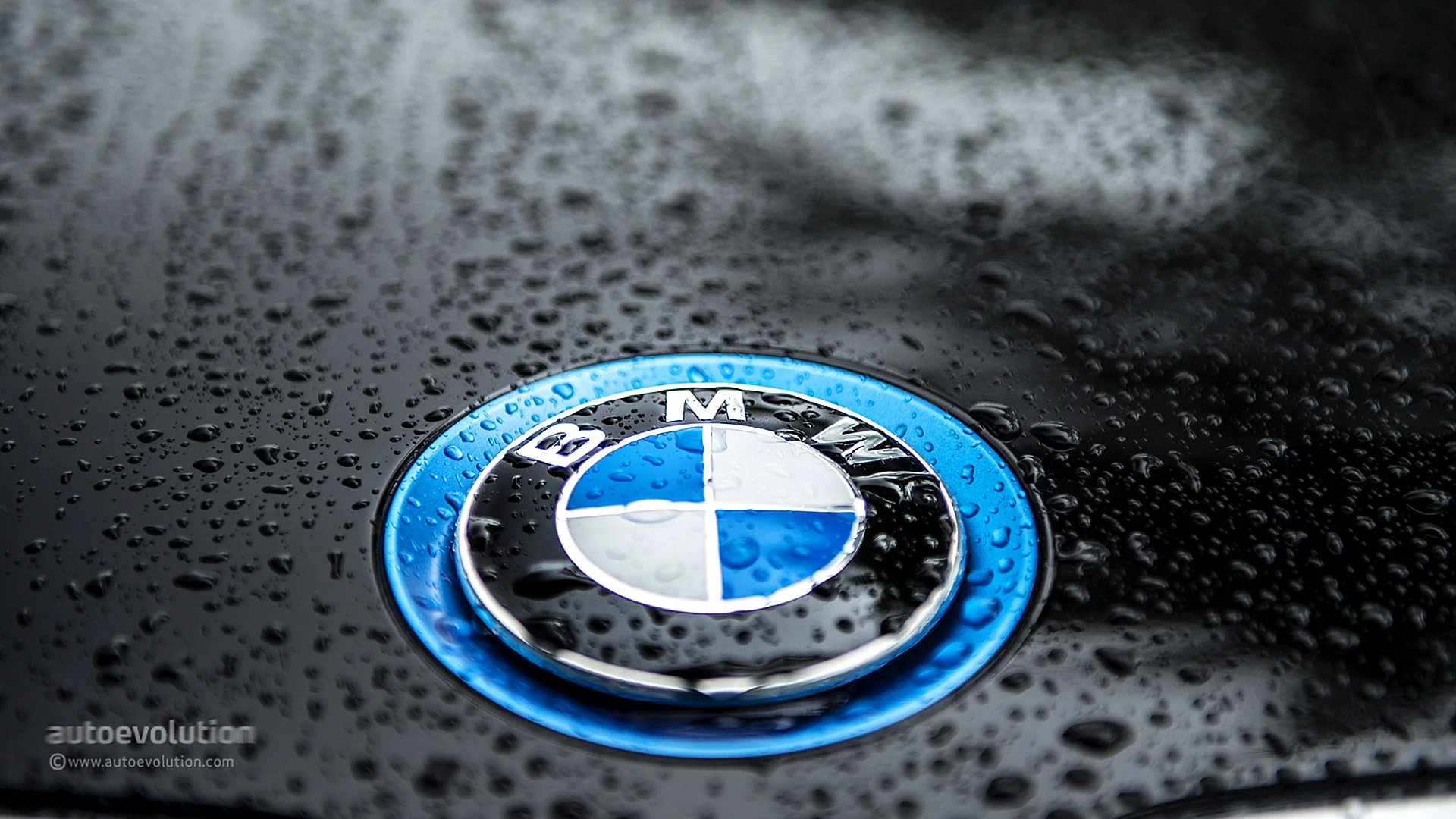 Bmw Logo Wallpaper