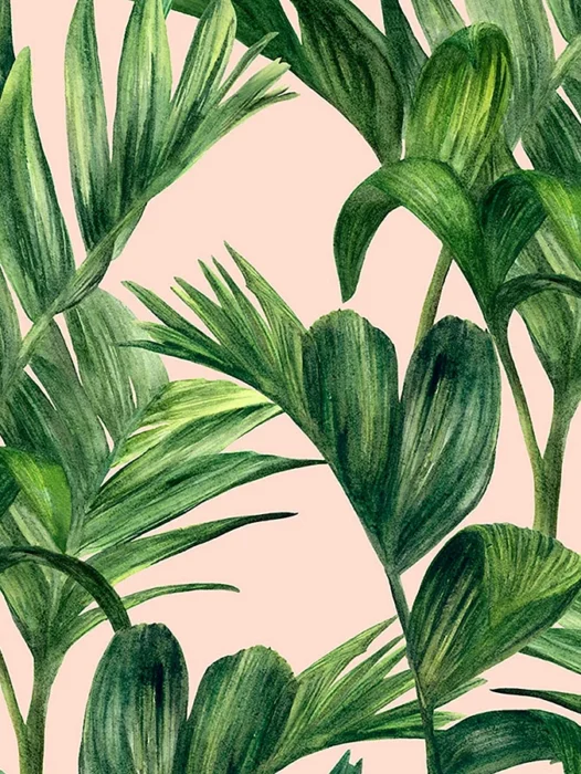 Botanical Tropical leaves Wallpaper