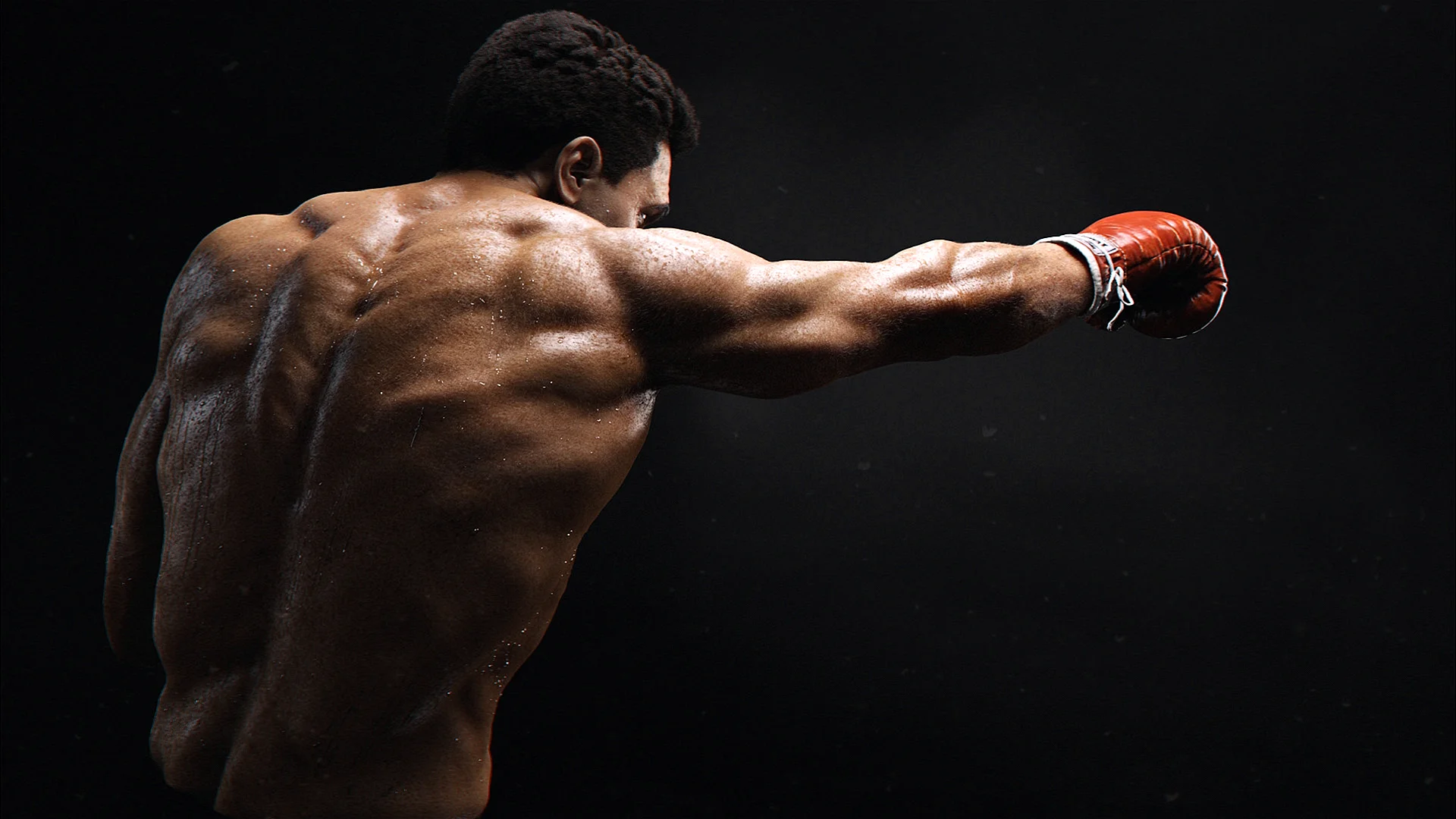 Boxing Wallpaper