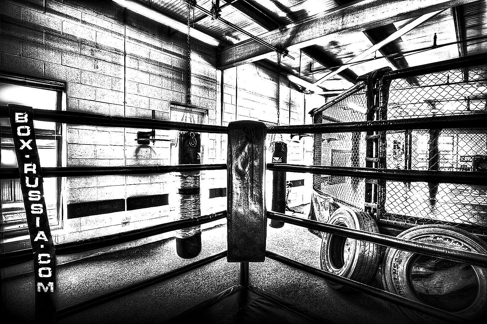 Boxing Ring Corner Wallpaper