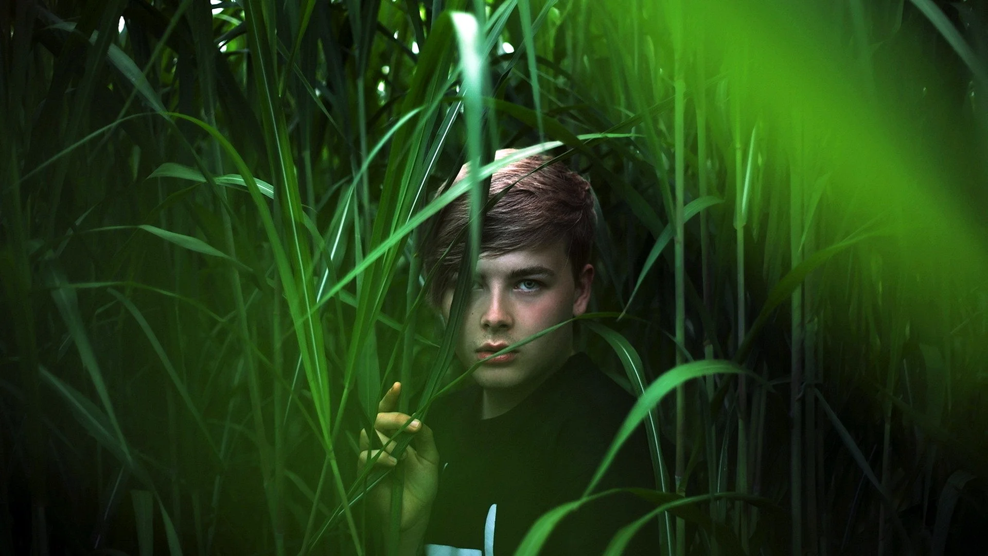 Boy In Grass Wallpaper