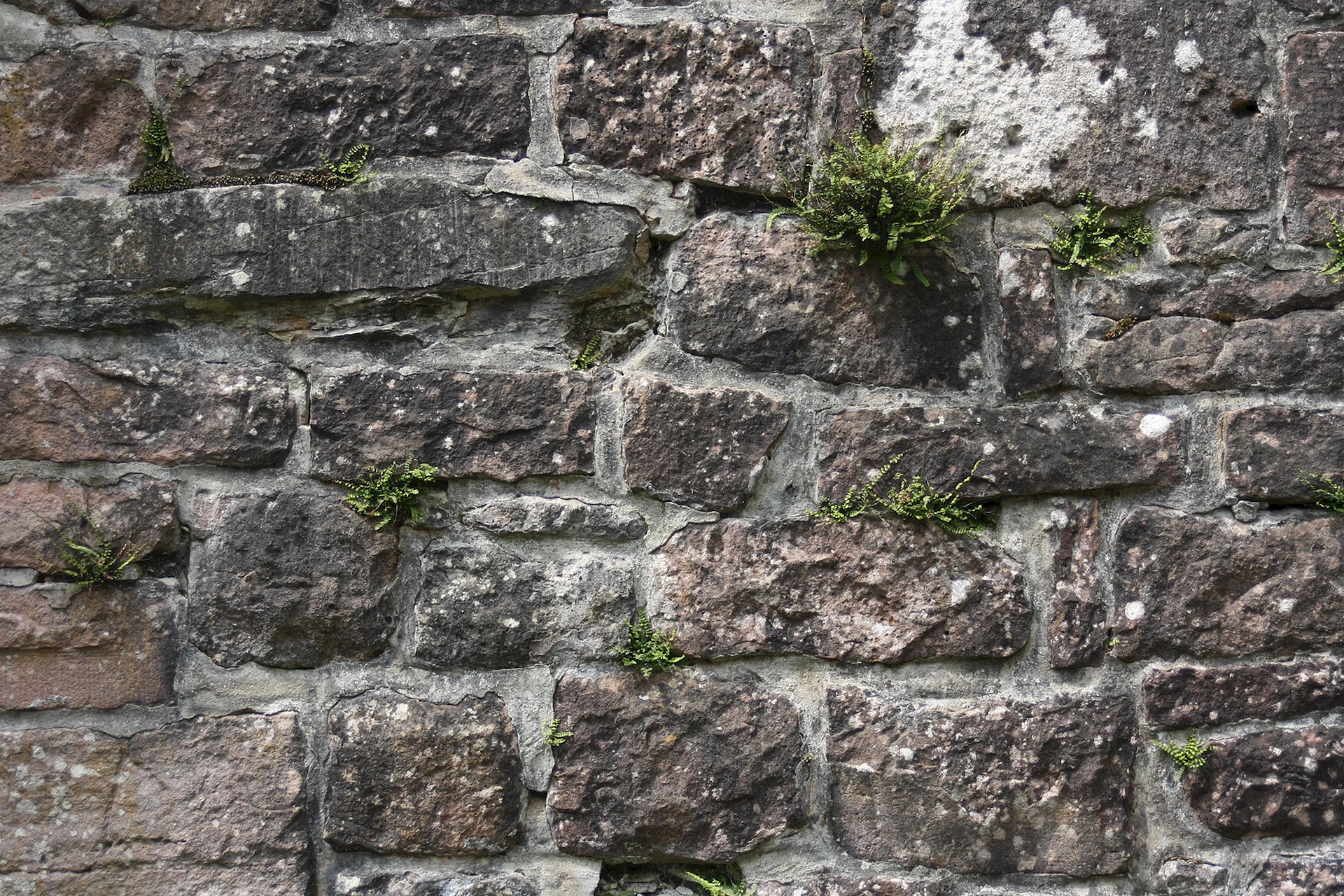 Brick Slate Wall Castle Wallpaper