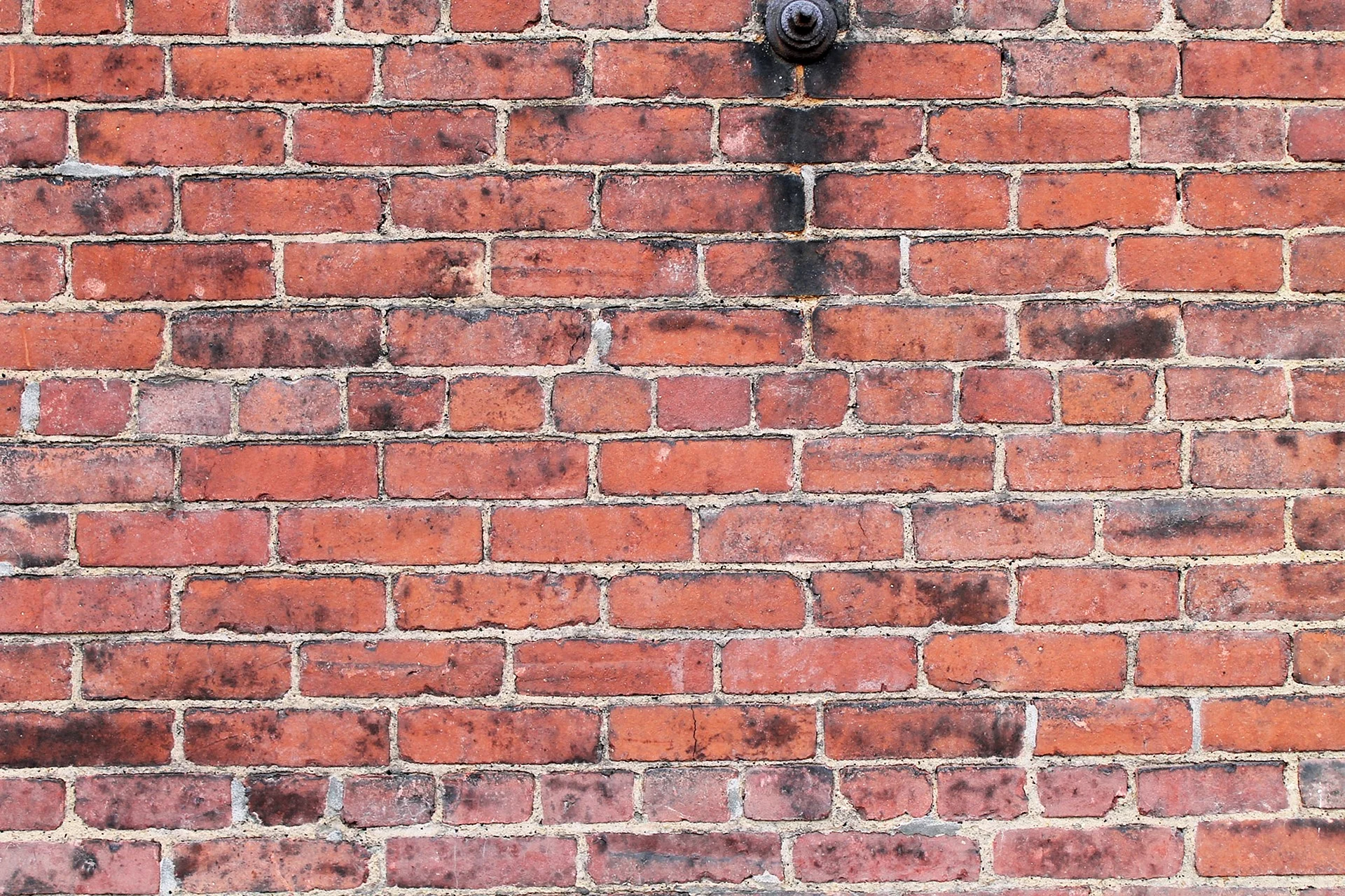 Brick Wall Wallpaper