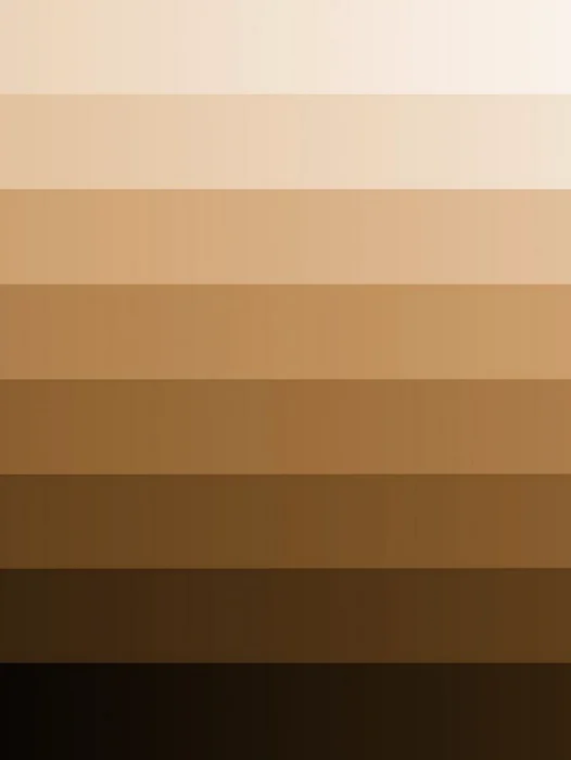 Brown Color Palette Wallpaper