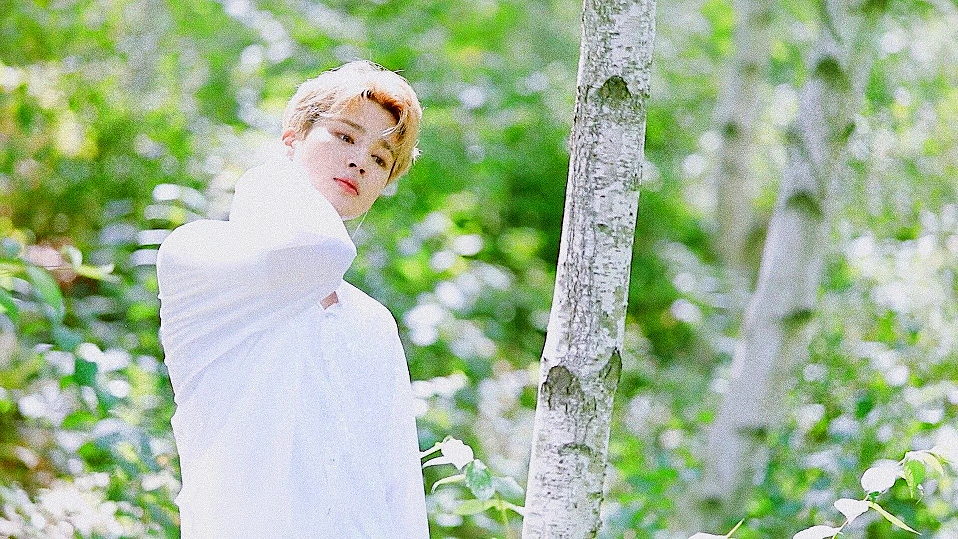 Bts Jimin Wallpaper