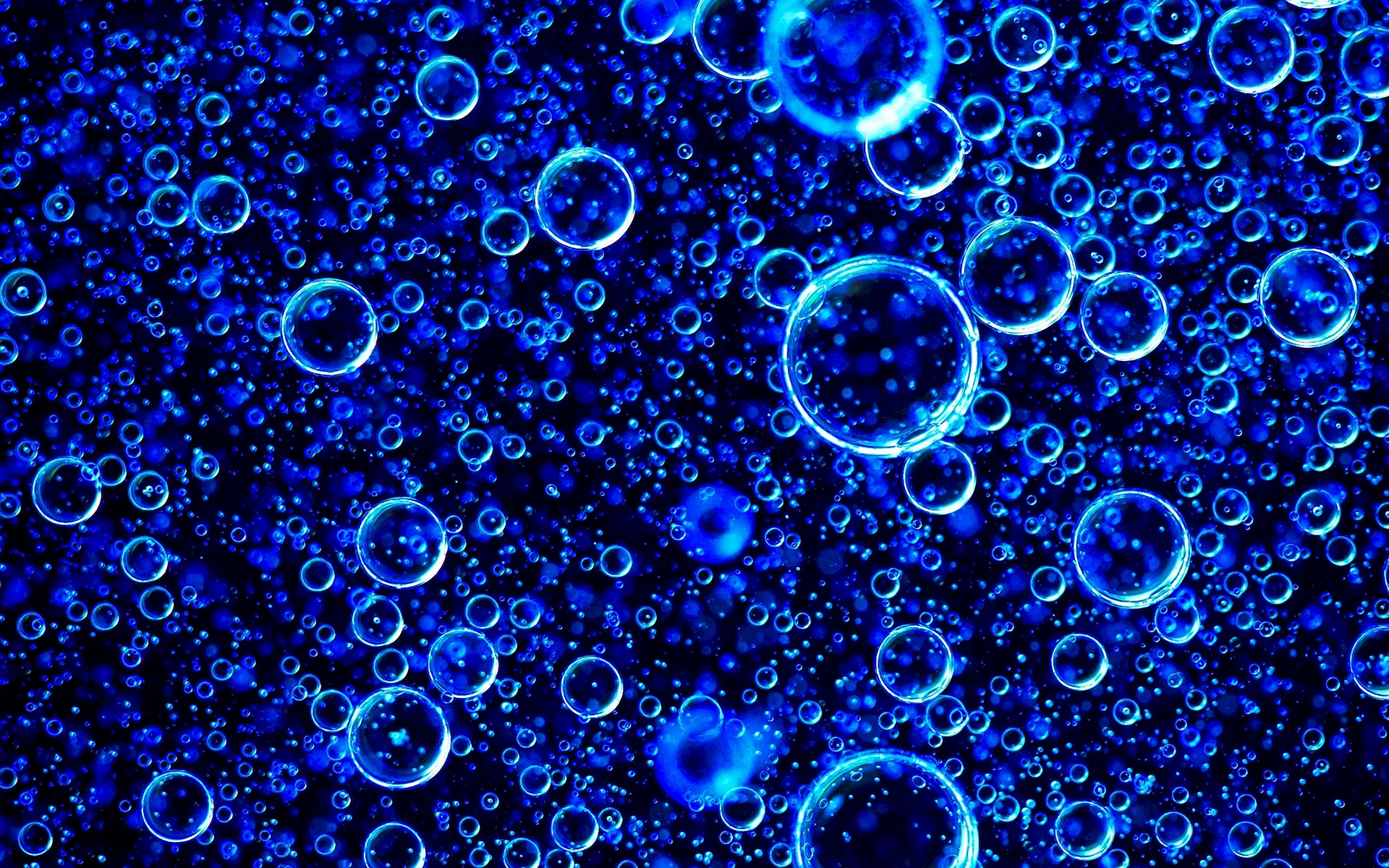 Bubbles Wallpaper