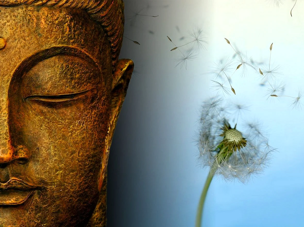 Buddha Quotes Wallpaper