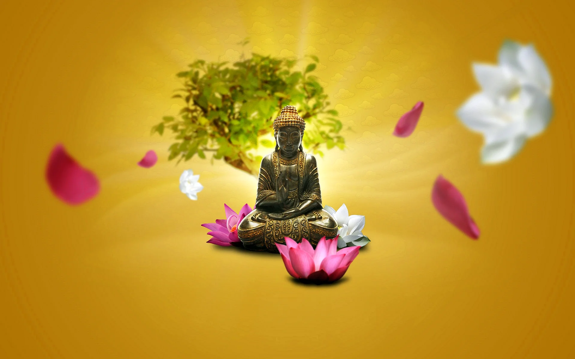 Buddha Zen Wallpaper