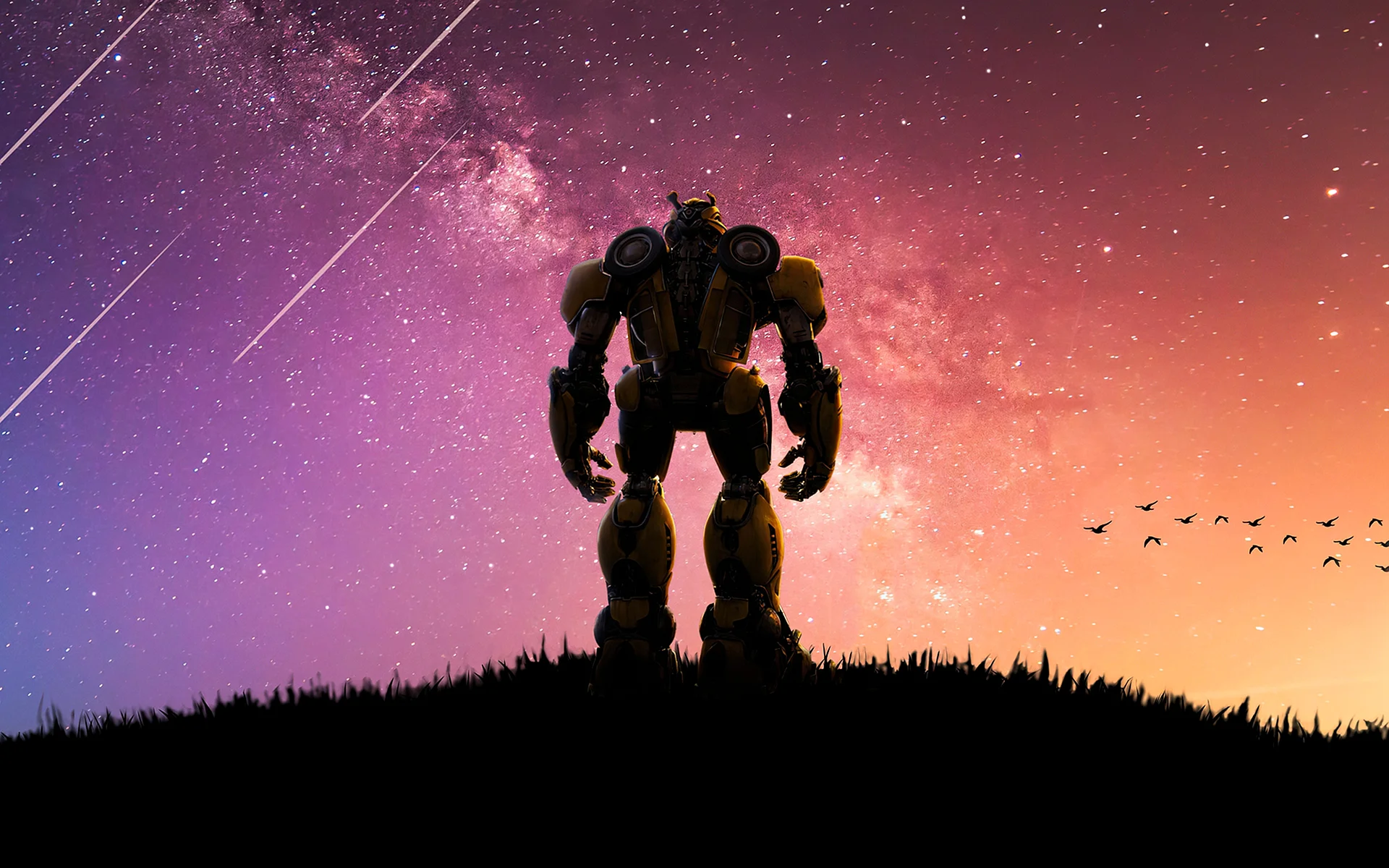 Bumblebee 4k Wallpaper