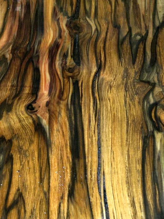 Burl Wood Slab Wallpaper