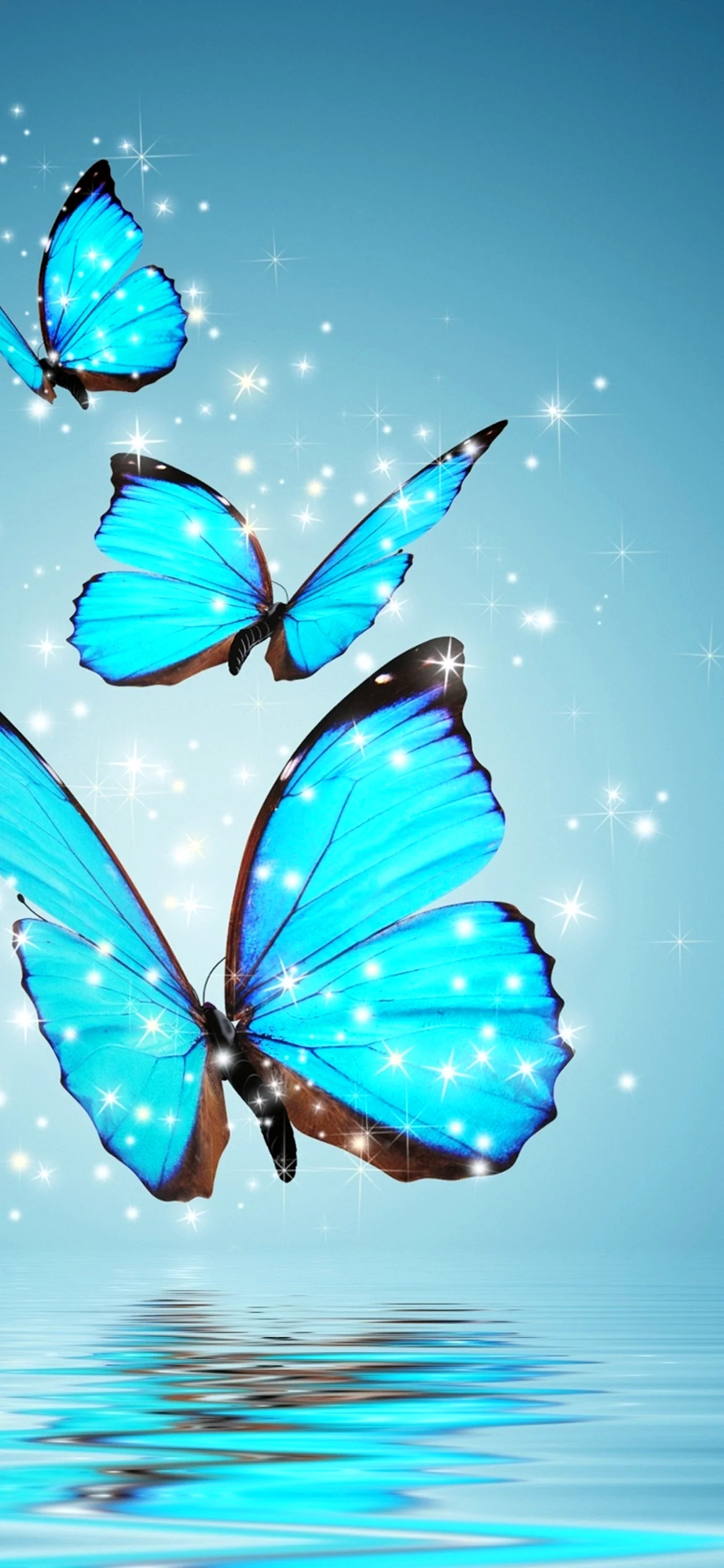 Butterfly Wallpaper for iPhone 13 Pro