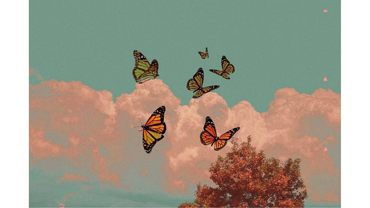 Butterfly aesthetic Wallpaper