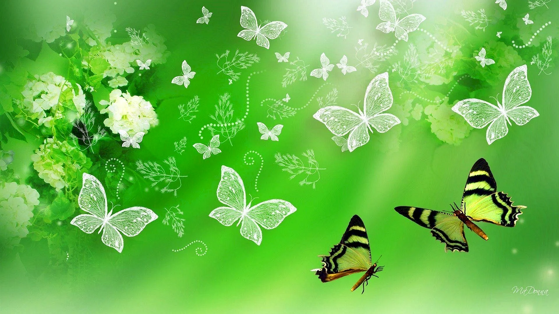 Butterfly background Wallpaper