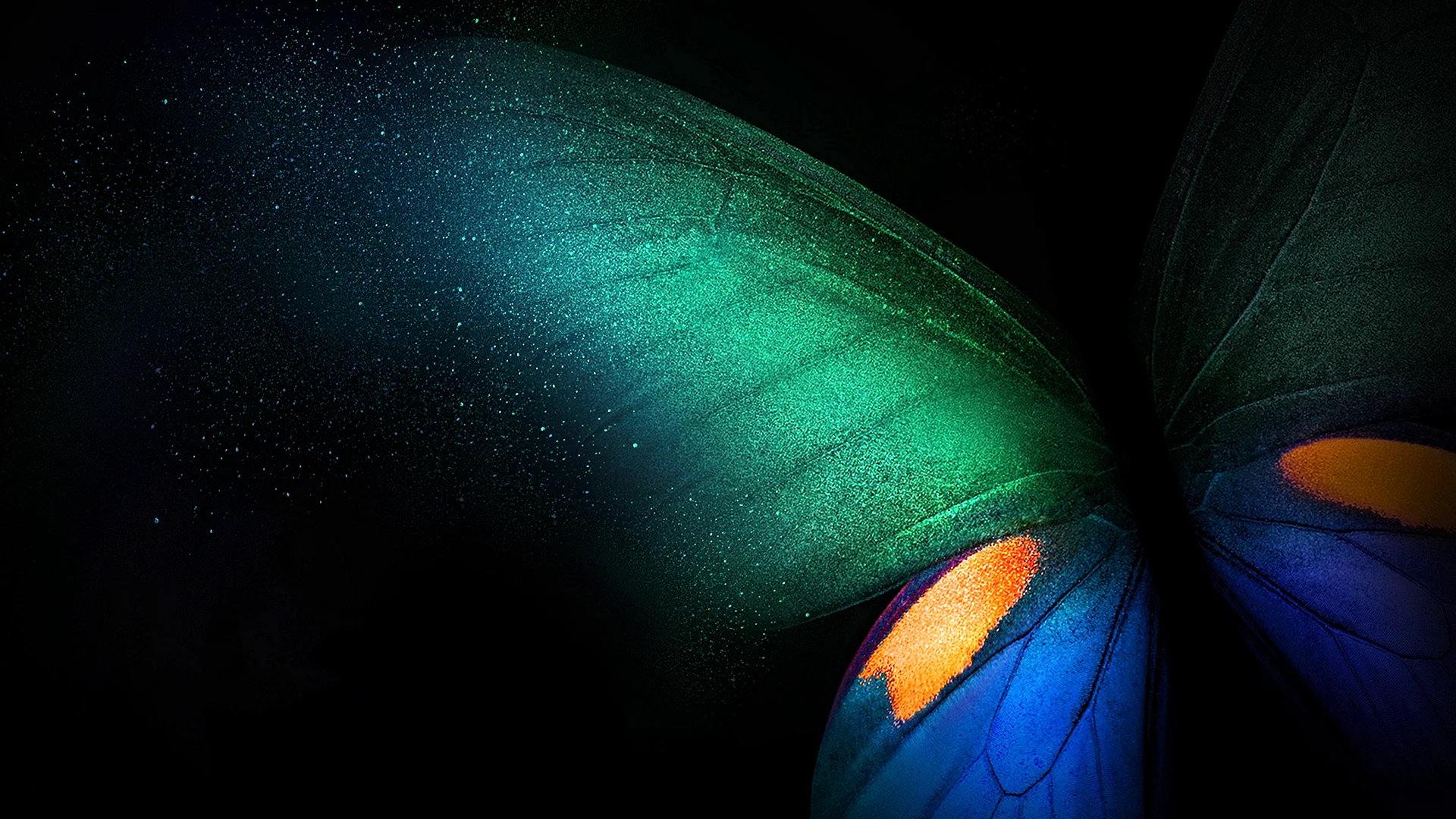 Butterfly Galaxy Wallpaper