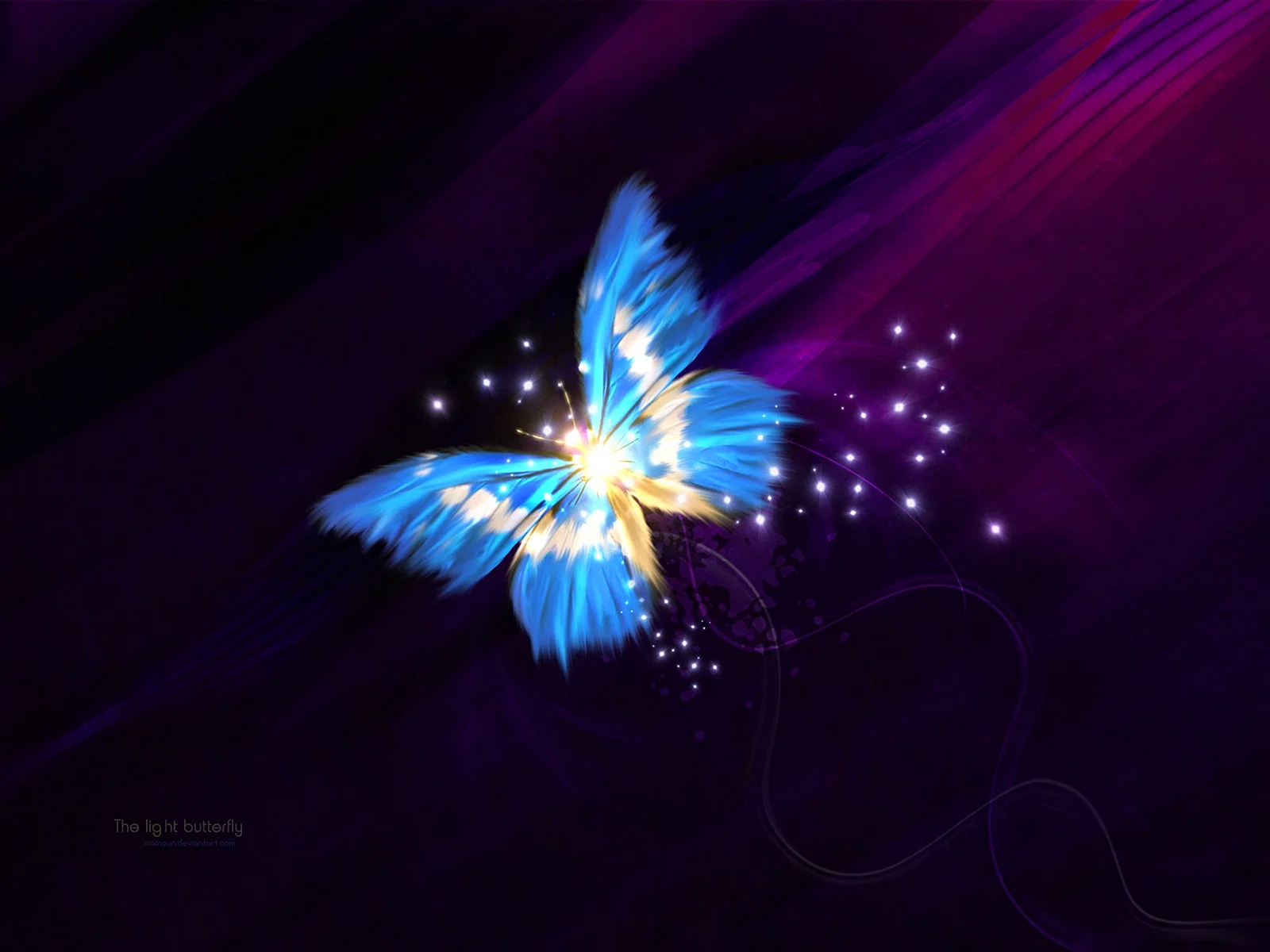Butterfly Light Wallpaper