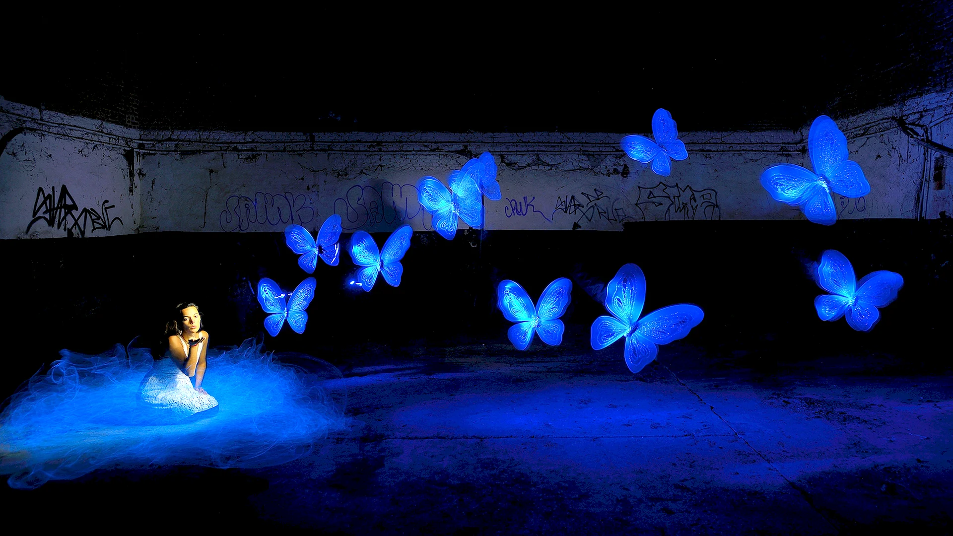 Butterfly Night Wallpaper