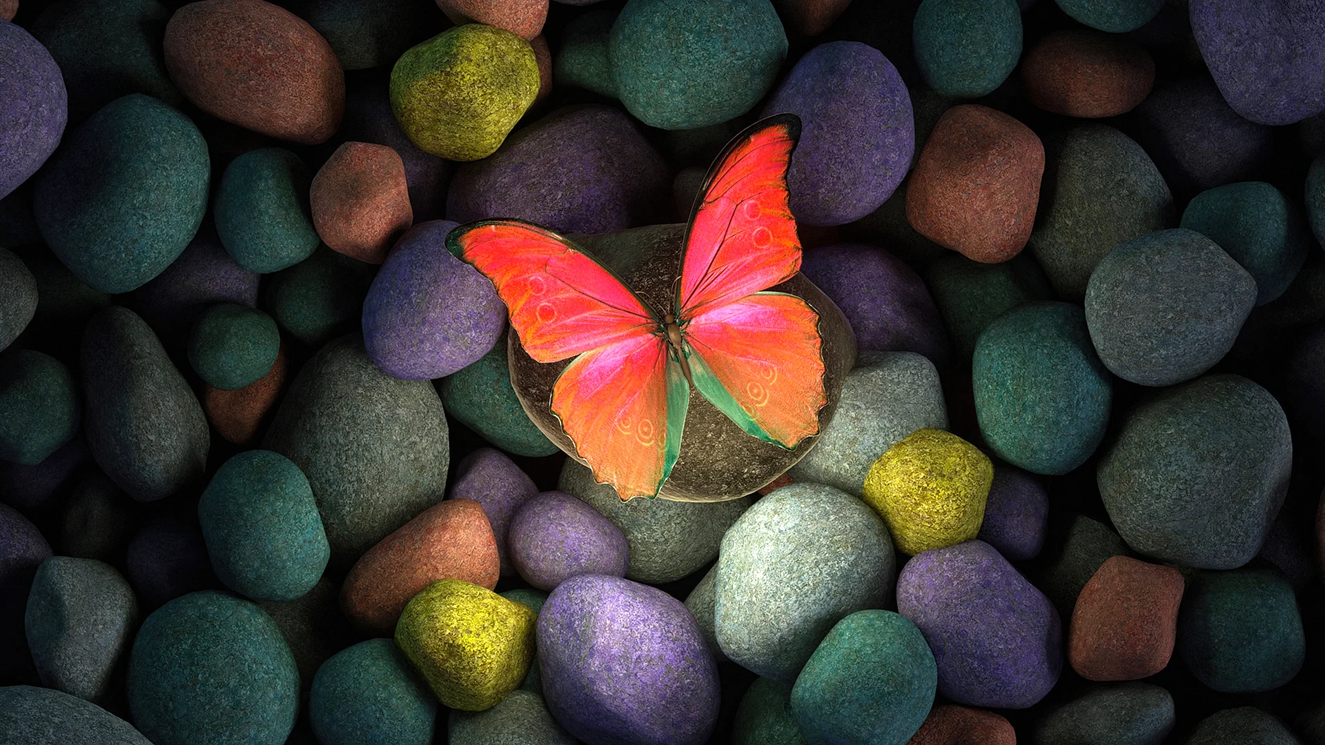 Butterfly Wallpaper