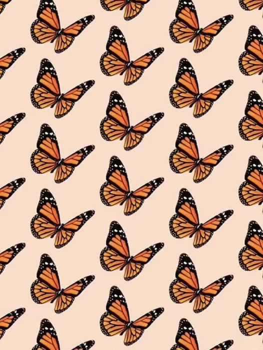 Butterfly Aesthetics Wallpaper