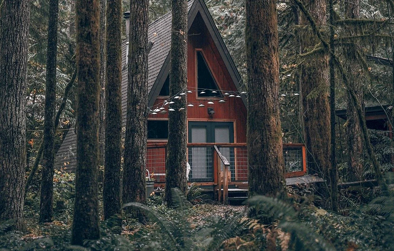 Cabin in the Woods Wallpaper