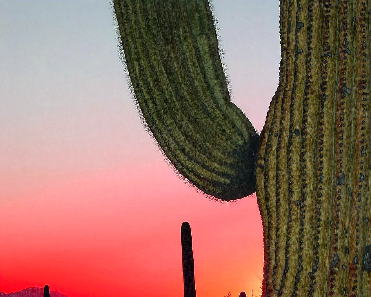 Cactus Wallpaper