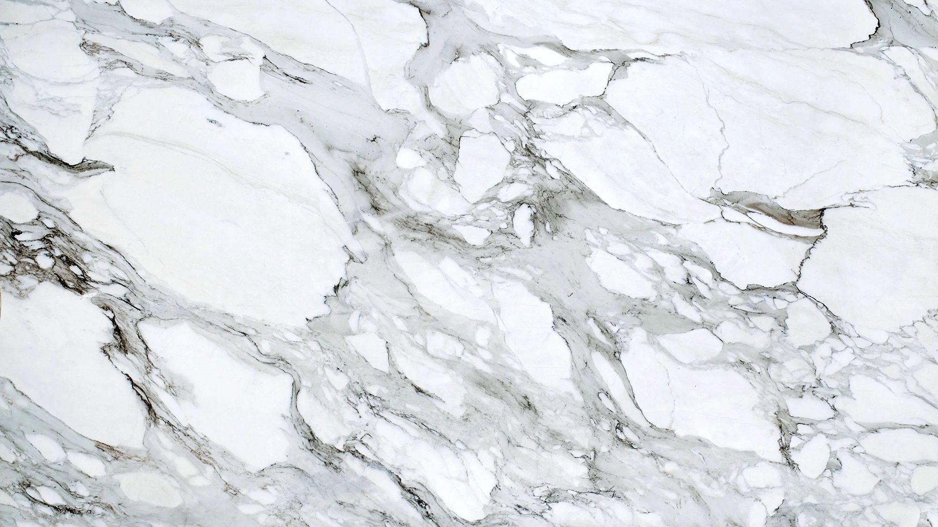Calacatta White Marble Wallpaper