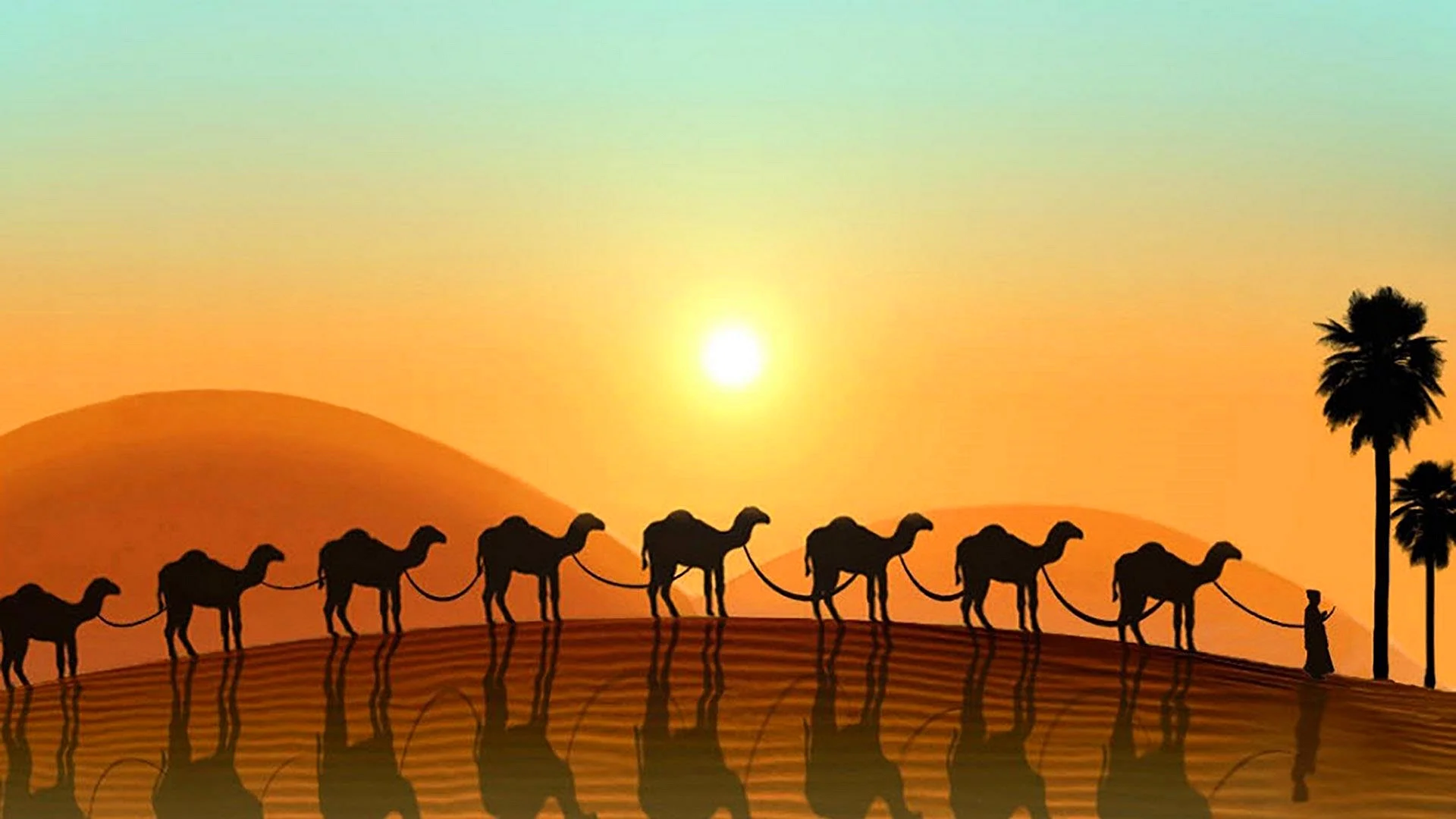 Camel Caravan Wallpaper
